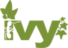 Description de l'image Apache Ivy logo.png.
