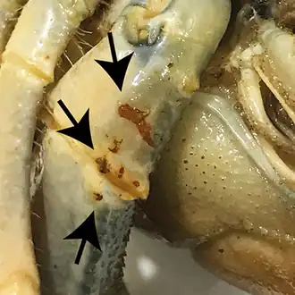 Description de cette image, également commentée ci-après