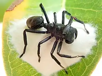 Description de cette image, également commentée ci-après