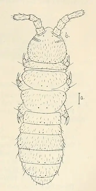 Description de cette image, également commentée ci-après