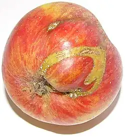 Description de cette image, également commentée ci-après