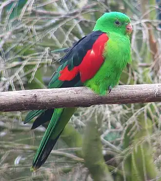 Description de cette image, également commentée ci-après