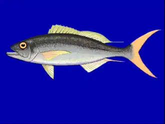 Description de l'image Aprut u0.png.