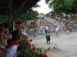 Les gradins naturels - 2007.