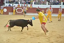 Arènes de Morlanne lors de la course des cuisinières 2019