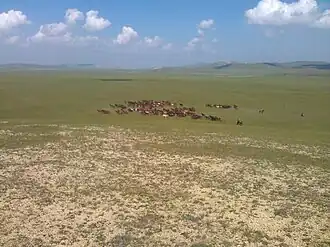 Bannière d'Ar Horqin