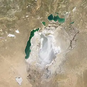 Image illustrative de l’article Aralkum