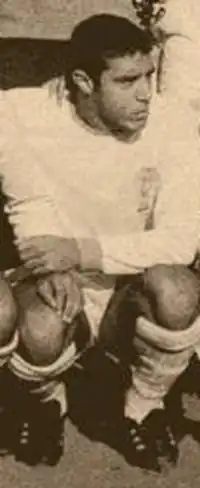 Image illustrative de l’article Araquem de Melo