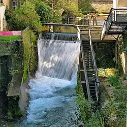 Saut de la Cuisance au barrage de la centrale électrique.