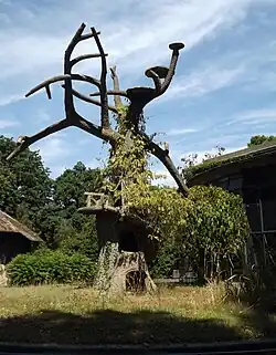 Agrets de la partie ouest de la singerie, aujourd'hui en partie démontée.