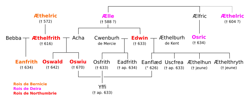 Représentation graphique de la famille d'Edwin
