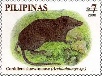 Description de l'image Archboldomys kalinga 2008 stamp of the Philippines.jpg.