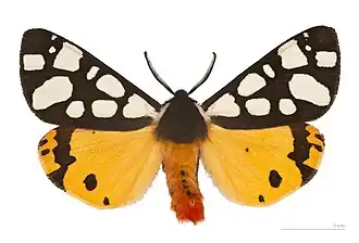 Description de cette image, également commentée ci-après