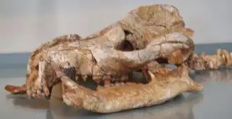 Description de cette image, également commentée ci-après