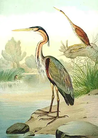 Description de cette image, également commentée ci-après