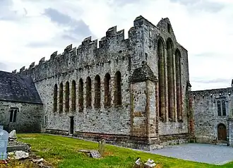 Image illustrative de l’article Cathédrale Saint-Brendan d'Ardfert