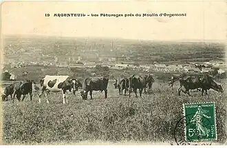 Paturage, près du Moulin d'Orgemont.
