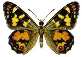 Description de cette image, également commentée ci-après