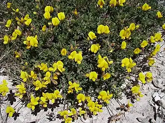 Description de cette image, également commentée ci-après