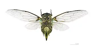 Description de cette image, également commentée ci-après