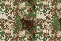 Flecktarn Aride commercial