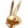 Lapin or
