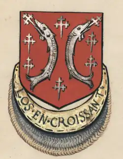 11. Jean VII de Salm
