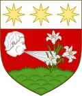 Blason de Luigi Braschi-Onesti