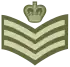 Insigne de Staff Sergeant