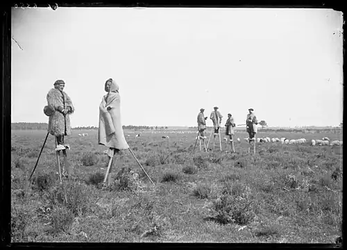 Des bergers dans la lande (Cliché Félix Arnaudin).