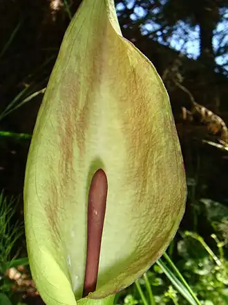 Description de cette image, également commentée ci-après