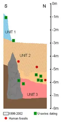 Stratigraphie de la grotte d'Aroeira.