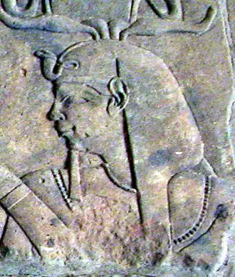 Image illustrative de l’article Arqamani