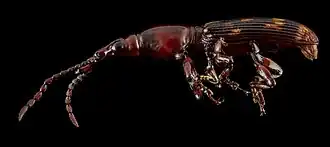 Description de cette image, également commentée ci-après