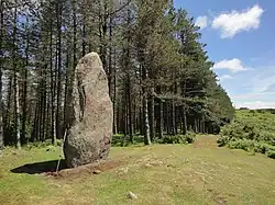 Le menhir d'Arribirilleta, entre Soraluze et Azkoitia.