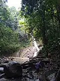 La chute du Bras-du-Fort en forêt tropicale.
