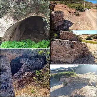 Image illustrative de l’article Arsenaria