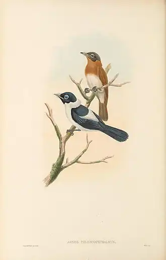 Description de cette image, également commentée ci-après