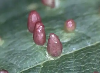 Description de cette image, également commentée ci-après