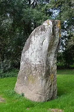 Pierre Fiche de Chacé