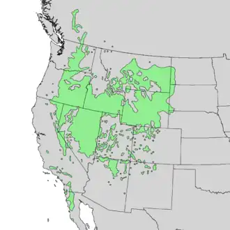 Description de l'image Artemisia tridentata range map 1.png.