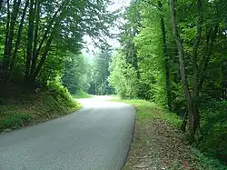 Kilomètre à 9,7 % en forêt après la sortie de Quintal