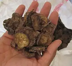 Paume d'une main au-dessus d'un sac tenant une poignée de tranches de matière végétale brun sale.