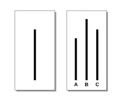 Représentation schématique de l'expérience de Solomon Asch où des segments sont comparés par les sujets