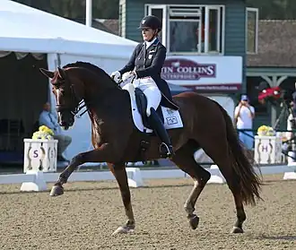 Image illustrative de l’article Ashley Nicoll