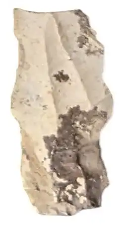 Lamelle du croquis 7 de la planche I exposé au musée de la Tour des Barons à Luzy