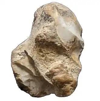 Grattoir d'Asnan référencé sur la planche I par le croquis 10 exposé au musée de la Tour des Barons à Luzy