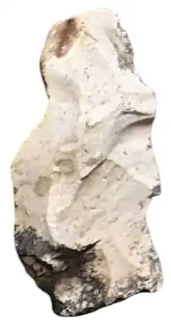 Lamelle du croquis 8 de la planche I exposé au musée de la Tour des Barons à Luzy