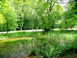 Étang au parc de Touteville.