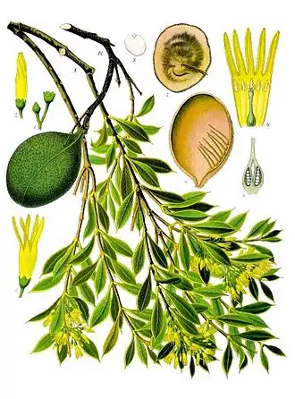 Description de cette image, également commentée ci-après